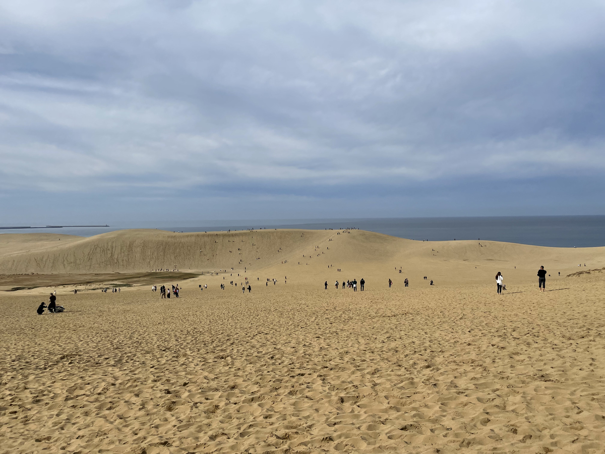 鳥取砂丘の風景