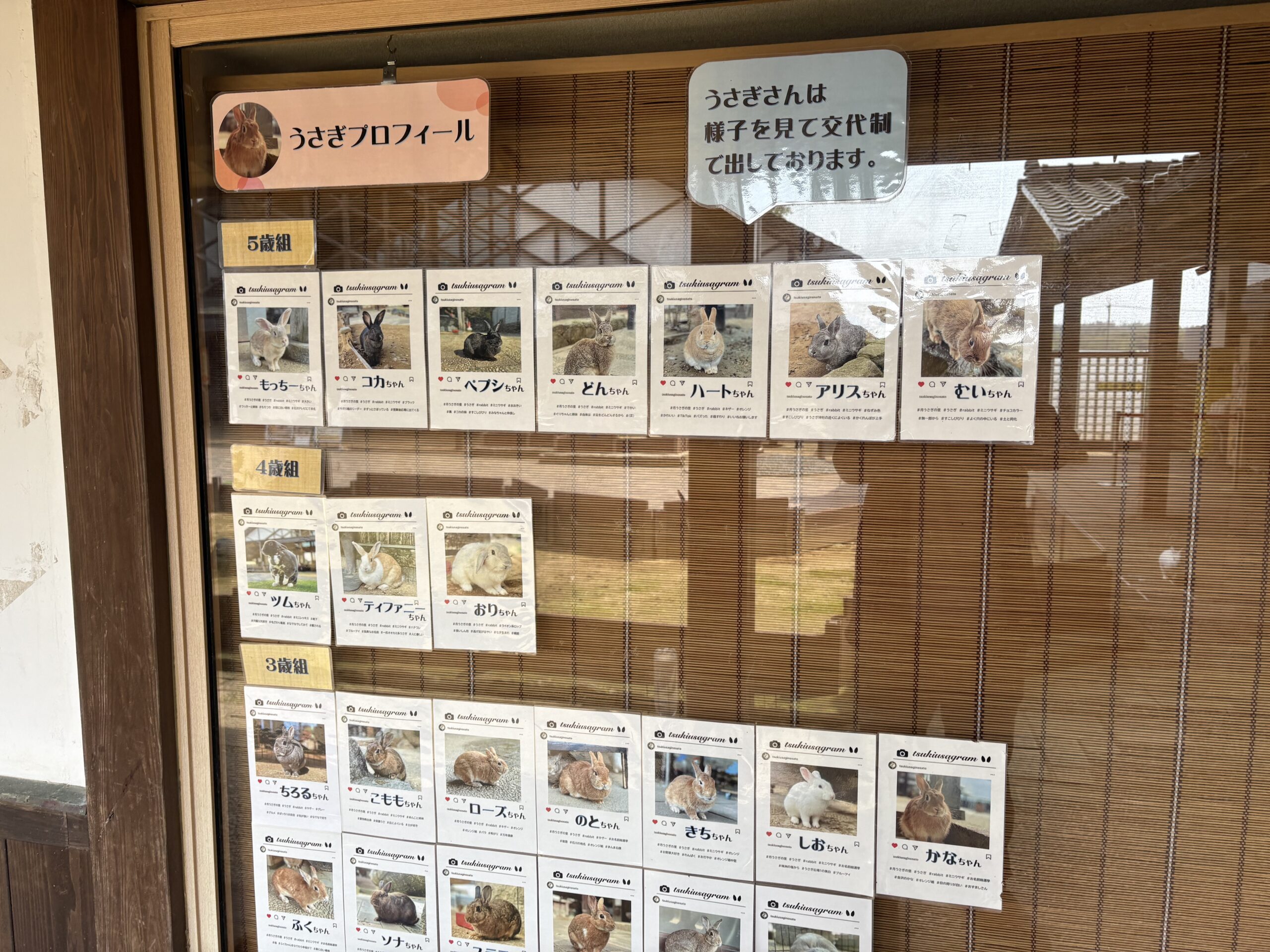 月うさぎの里2