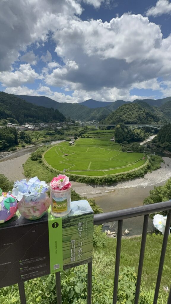 あらぎ島