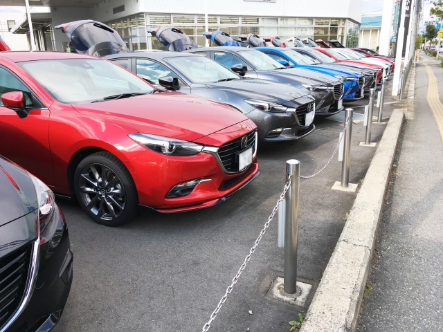 中古車がたくさん並んでいる