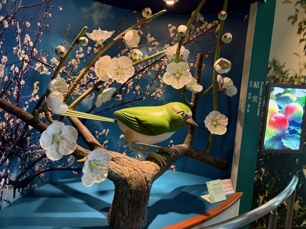みなべうめ振興館の資料館の中にある梅と鳥のオブジェ