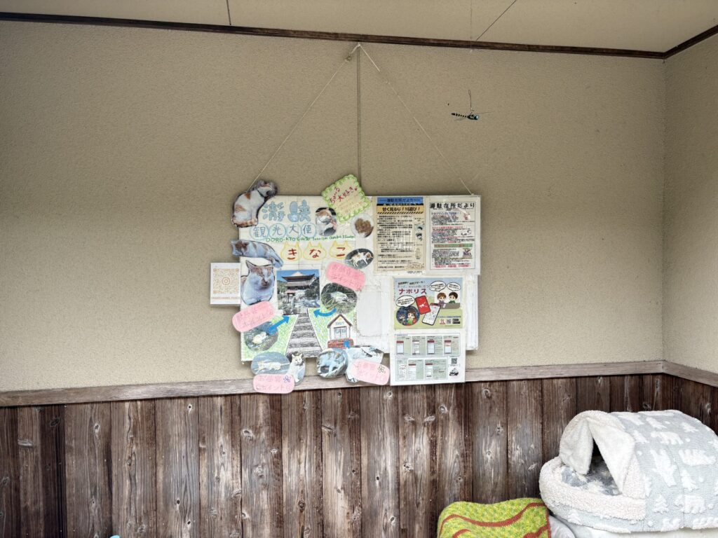 観光大使きなこのハウス