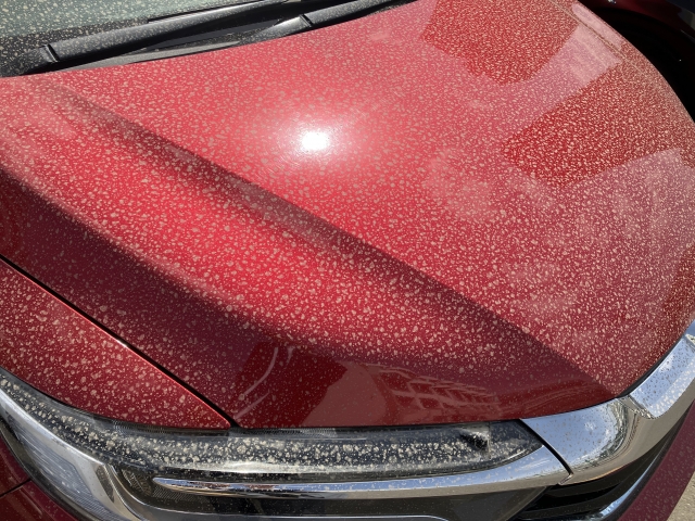 花粉・黄砂のついた車２